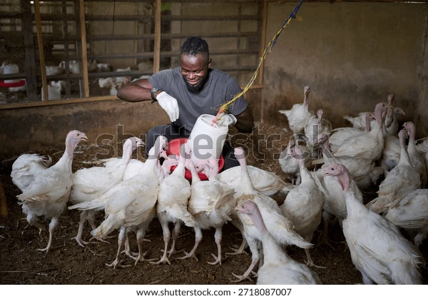 Sofa Upholstery Worker | عامل تنجيد كنبات
